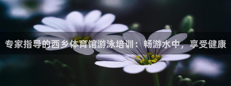 富联食品加工厂：专家指导的西乡体育馆游泳培训：畅游水