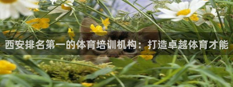 富联平台派7O777：西安排名第一的体育培训机构：打