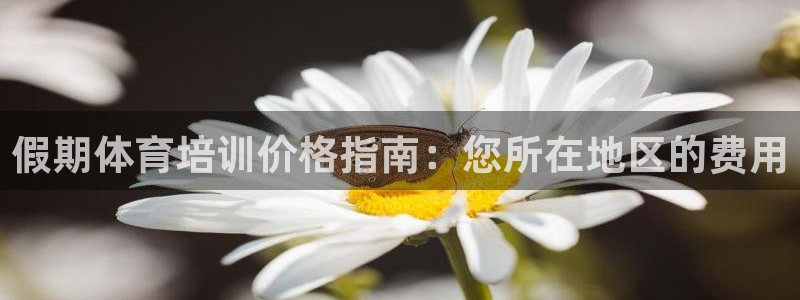 富联平台登陆：假期体育培训价格指南：您所在地区的费用