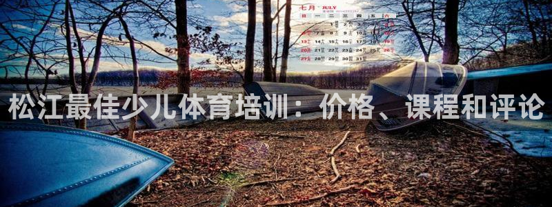 富联官网授权店铺：松江最佳少儿体育培训：价格、课程和