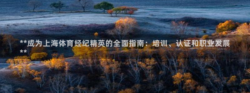 富联科技上市了吗最近：**成为上海体育经纪精英的全面