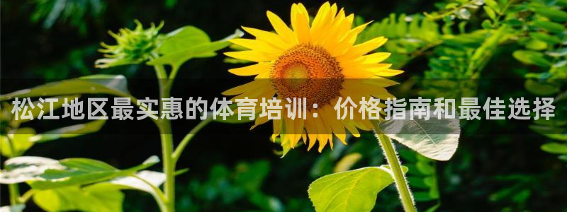 富联娱乐代理怎么做：松江地区最实惠的体育培训：价格指