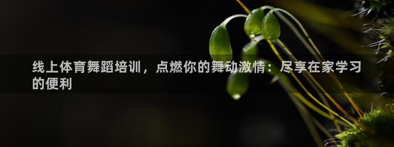 富联平台选 585341 平台：线上体育舞蹈培训，点
