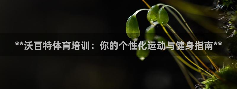 富联平台是什么：**沃百特体育培训：你的个性化运动与