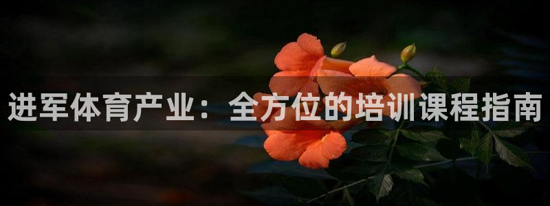 富联平台注册登录不上：进军体育产业：全方位的培训课程