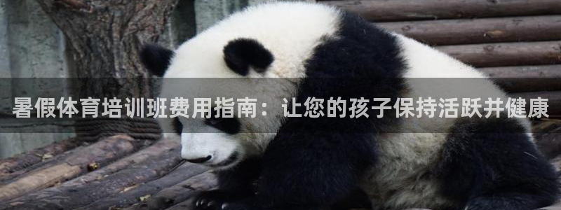 富联娱乐在线注册链接是什么意思：暑假体育培训班费用指