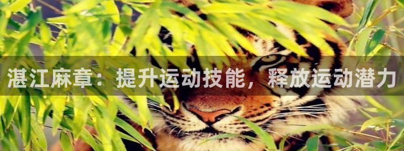 富联娱乐会员多少钱：湛江麻章：提升运动技能，释放运动