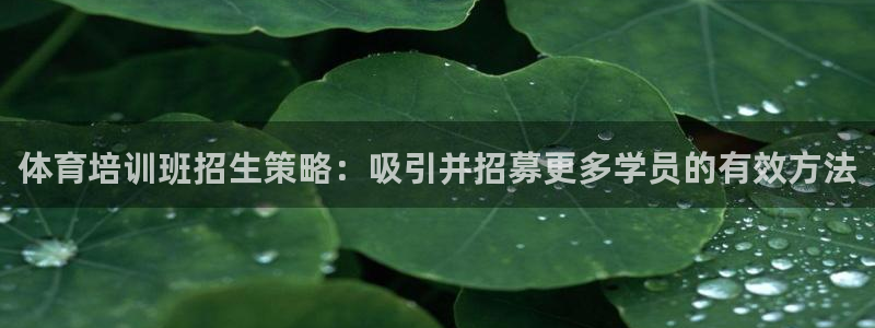 富联娱乐向 5o69I7：体育培训班招生策略：吸引并