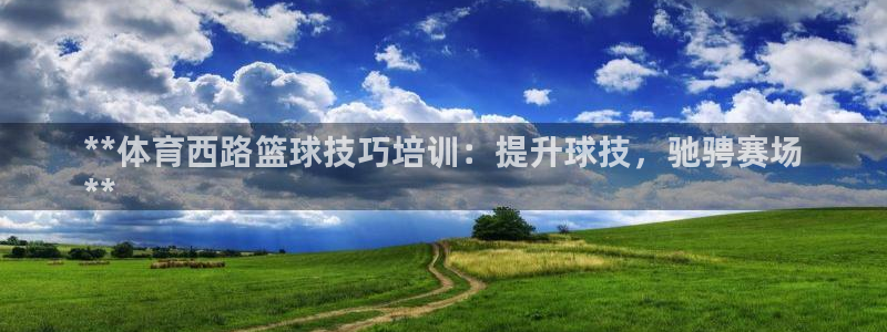 富联娱乐是骗局吗：**体育西路篮球技巧培训：提升球技