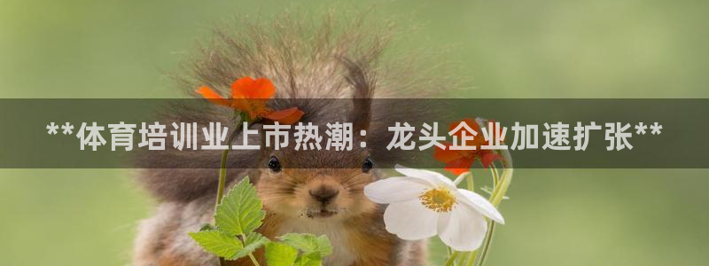 杭州富联科技：**体育培训业上市热潮：龙头企业加速扩