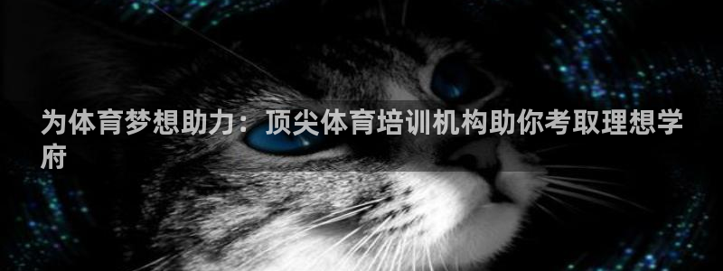 富联娱乐怎么样：为体育梦想助力：顶尖体育培训机构助你