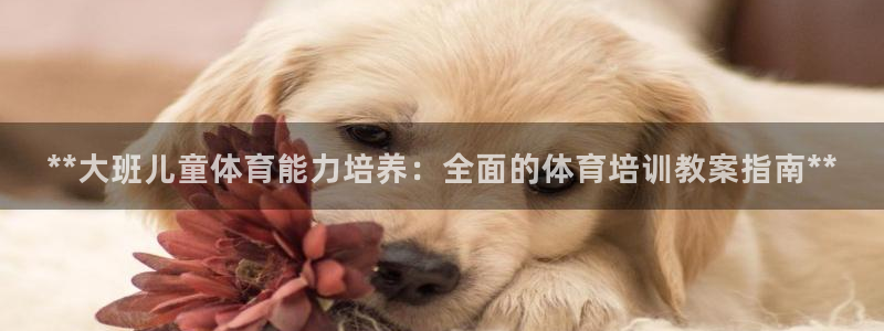 富联平台登陆：**大班儿童体育能力培养：全面的体育培