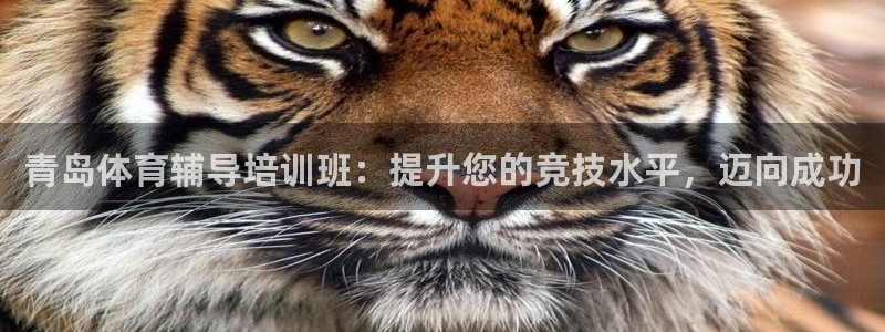 富联平台赢钱不给退怎么办理：青岛体育辅导培训班：提升