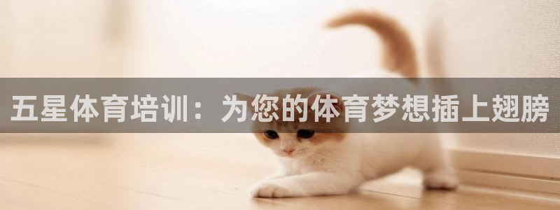 富联平台上级下级是什么：五星体育培训：为您的体育梦想