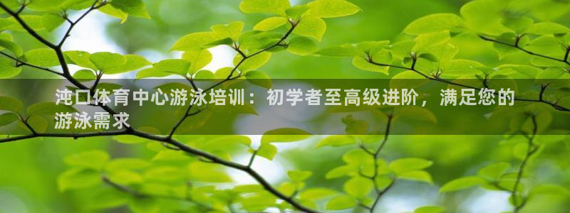 富联平台用户登陆失败：沌口体育中心游泳培训：初学者至