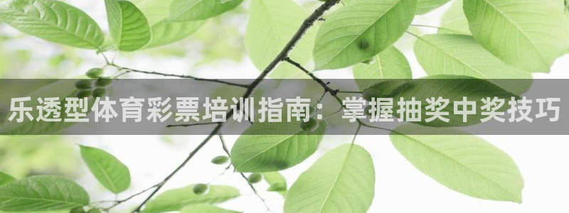 富联股份代码是多少：乐透型体育彩票培训指南：掌握抽奖