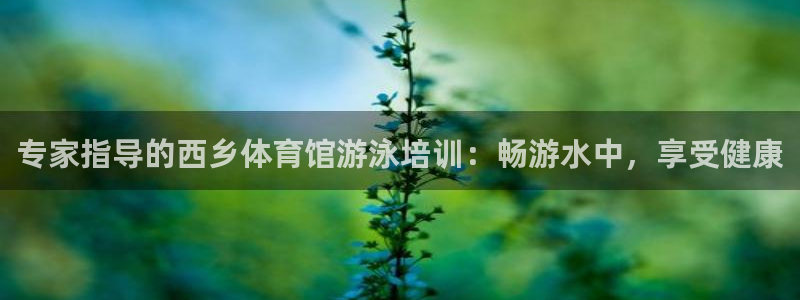 富联娱乐登录地址：专家指导的西乡体育馆游泳培训：畅游