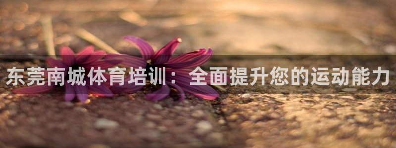 富联平台注册地址在哪里：东莞南城体育培训：全面提升您