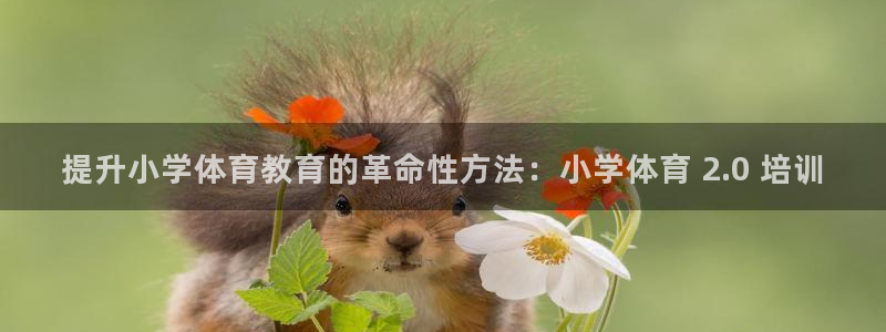 富联平台线路检测中心官网：提升小学体育教育的革命性方
