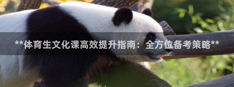 富联娱乐玩法机制是什么：**体育生文化课高效提升指南