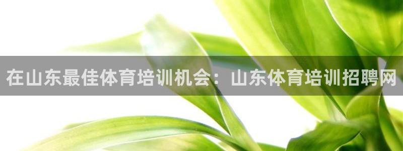 富联娱乐测速登录：在山东最佳体育培训机会：山东体育培