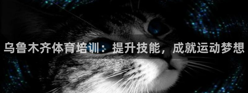 富联平台城7O777：乌鲁木齐体育培训：提升技能，成