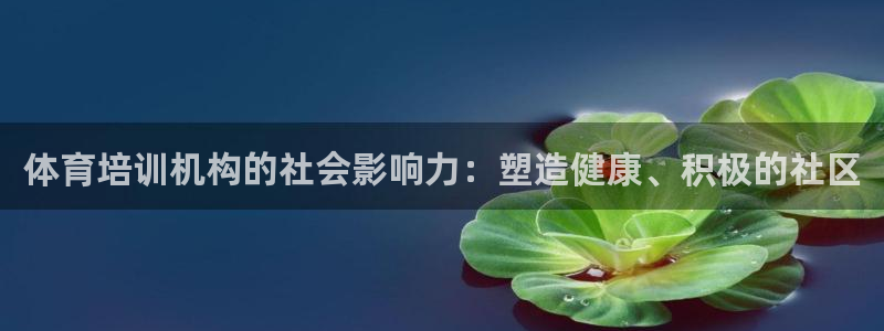 富联平台安装流程：体育培训机构的社会影响力：塑造健康