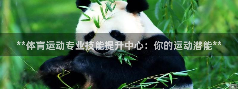 富联是什么股票板块：**体育运动专业技能提升中心：你