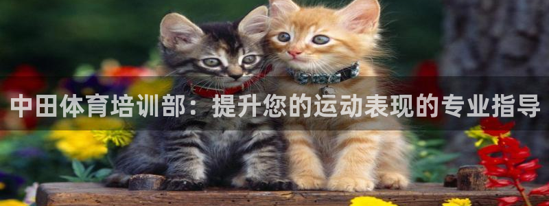 富联平台辉 411o31 富联：中田体育培训部：提升