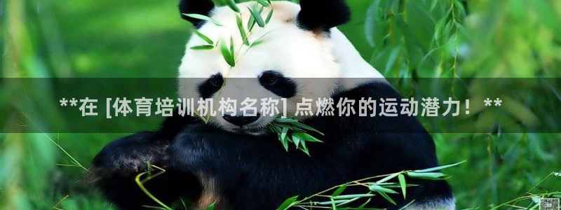 富联娱乐总代：**在 [体育培训机构名称] 点燃你的