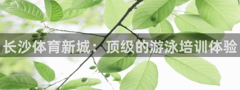 富联娱乐服务站：长沙体育新城：顶级的游泳培训体验
