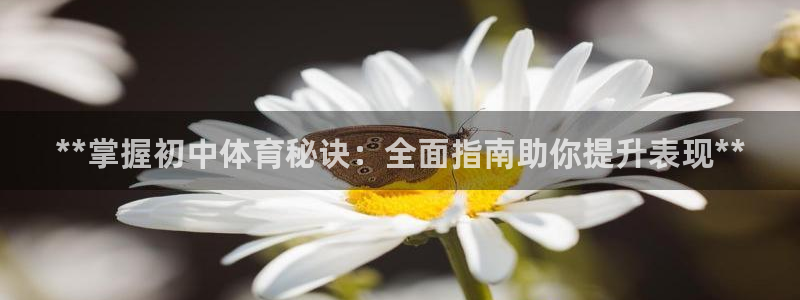 富联股份代码是多少：**掌握初中体育秘诀：全面指南助
