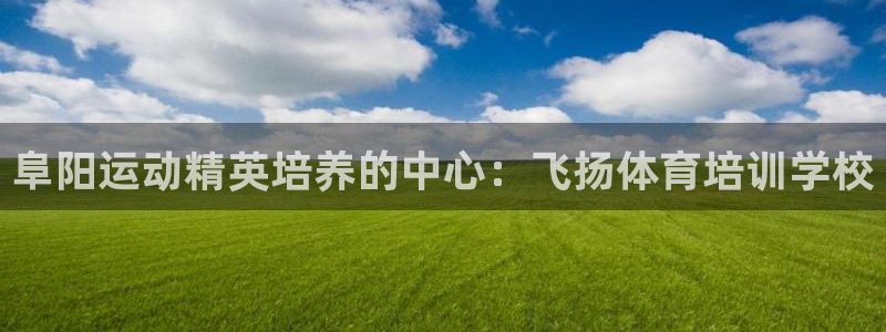 富联娱乐股东结构：阜阳运动精英培养的中心：飞扬体育培