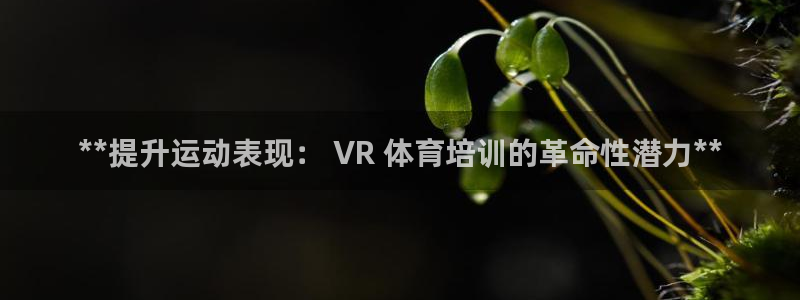 富联平台上级下级是什么：**提升运动表现： VR 体