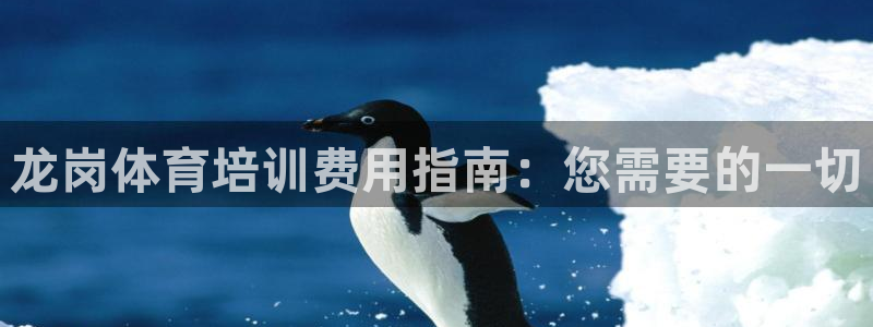 富联官方网站入口网址：龙岗体育培训费用指南：您需要的