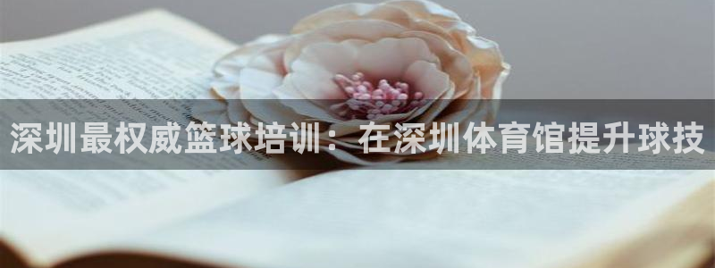 富联娱乐客户端app下载服务器失败怎么回事：深圳最权威篮球培
