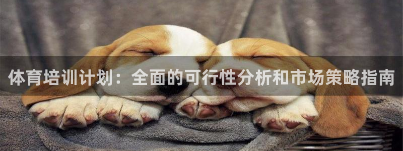 富联平台保7O777：体育培训计划：全面的可行性分析