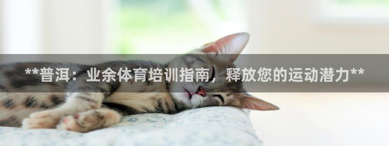 富联申购上市价格预测最新：**普洱：业余体育培训指南