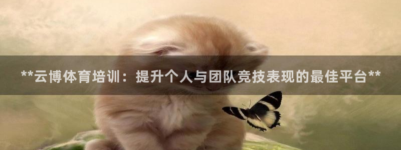 富联娱乐官方网站入口下载：**云博体育培训：提升个人