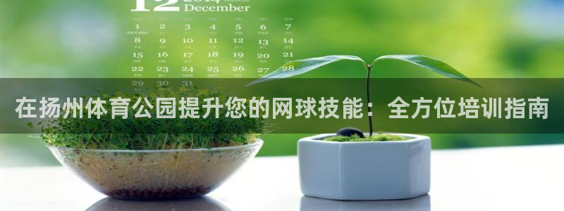 富联娱乐官方网站入口：在扬州体育公园提升您的网球技能