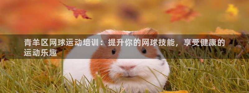 富联娱乐客户端app下载服务器异常怎么办：青羊区网球