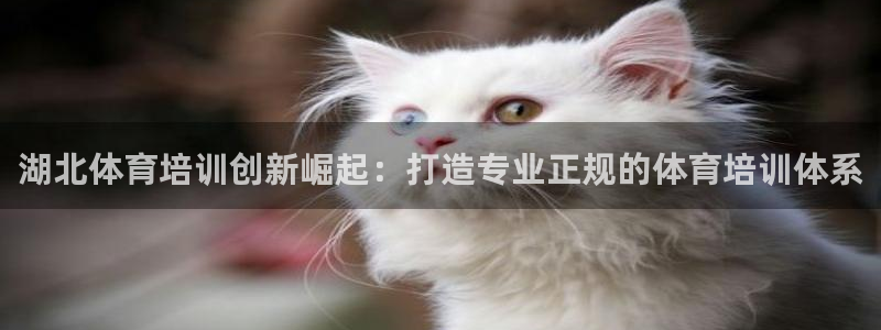 富联娱乐平台开户：湖北体育培训创新崛起：打造专业正规