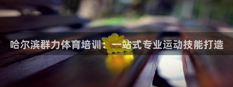 富联平台靠 5o69I7：哈尔滨群力体育培训：一站式