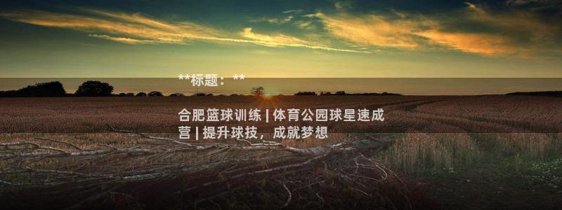富联平台用户登陆：**标题：**

合肥篮球训练 |