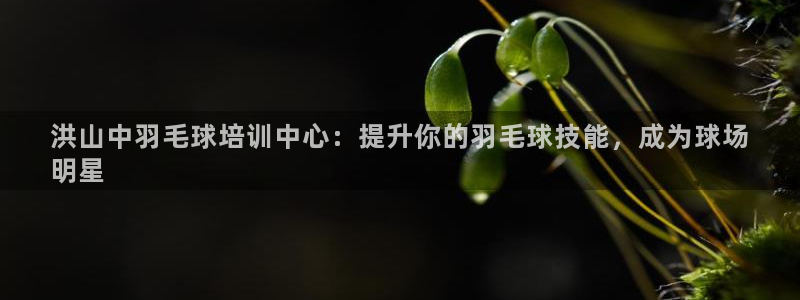富联平台注册登录不上：洪山中羽毛球培训中心：提升你的