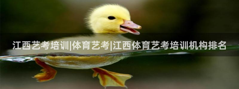 富联官网代理系列：江西艺考培训|体育艺考|江西体育艺考培训机