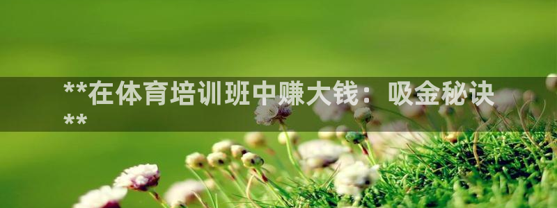 富联申购是什么股票板块：**在体育培训班中赚大钱：吸