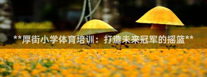 富联平台地址查询：**厚街小学体育培训：打造未来冠军