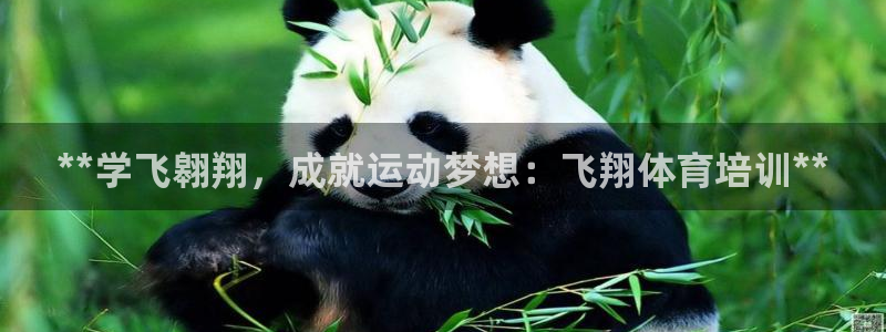 富联平台登录网址：**学飞翱翔，成就运动梦想：飞翔体