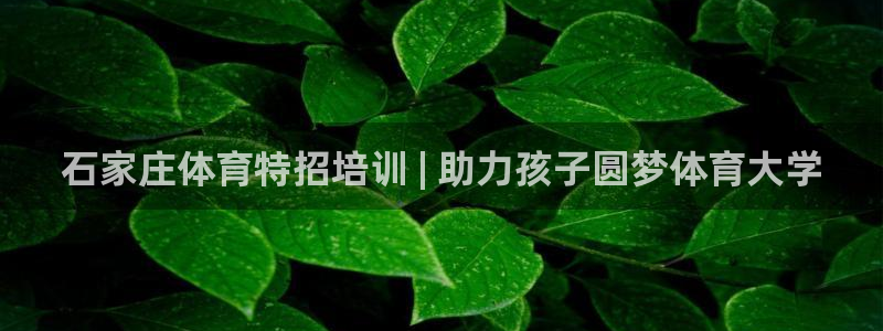 富联娱乐客户端app下载服务：石家庄体育特招培训 |